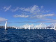 P1030270.jpg